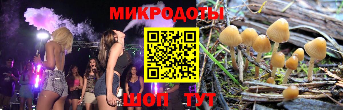 Галлюциногенные грибы Psilocybe Аша