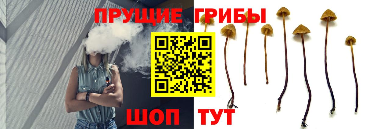 Галлюциногенные грибы Аша